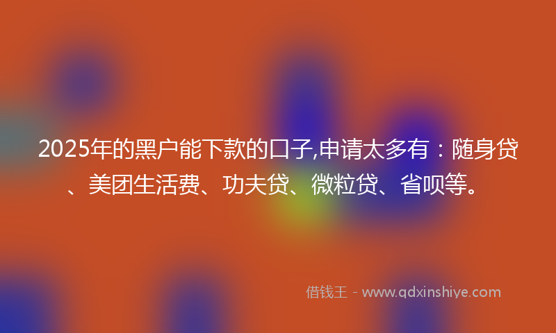 2025年的黑户能下款的口子,申请太多有：随身贷、美团生活费、功夫贷、微粒贷、省呗等。