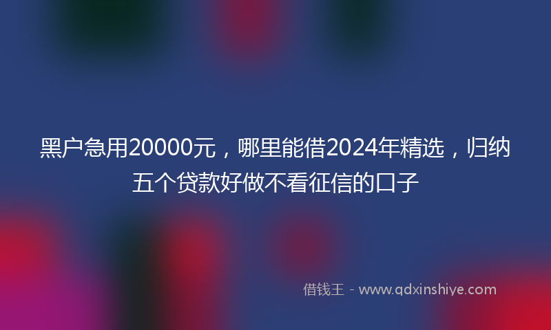 黑户急用20000元，哪里能借2024年精选，归纳五个贷款好做不看征信的口子