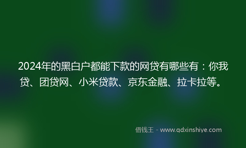2024年的黑白户都能下款的网贷有哪些有：你我贷、团贷网、小米贷款、京东金融、拉卡拉等。