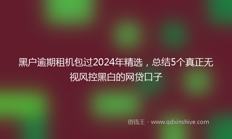 黑户逾期租机包过2024年精选，总结5个真正无视风控黑白的网贷口子