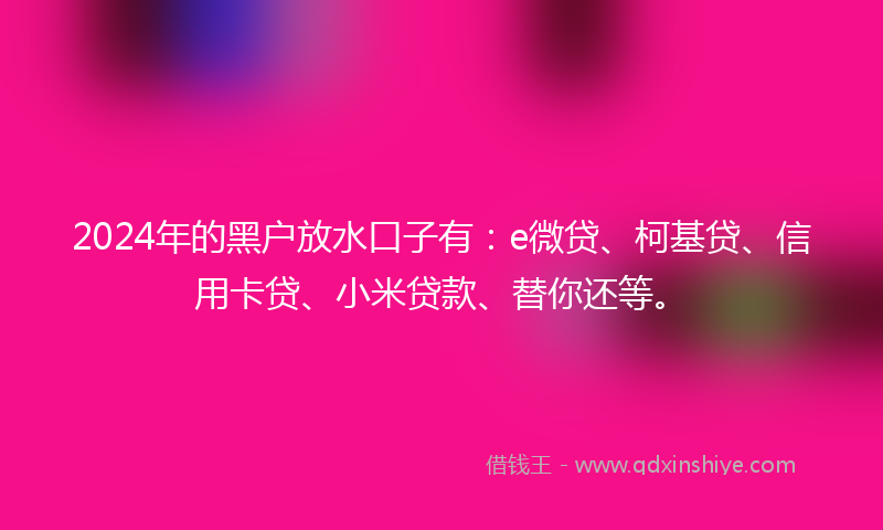 2024年的黑户放水口子有：e微贷、柯基贷、信用卡贷、小米贷款、替你还等。