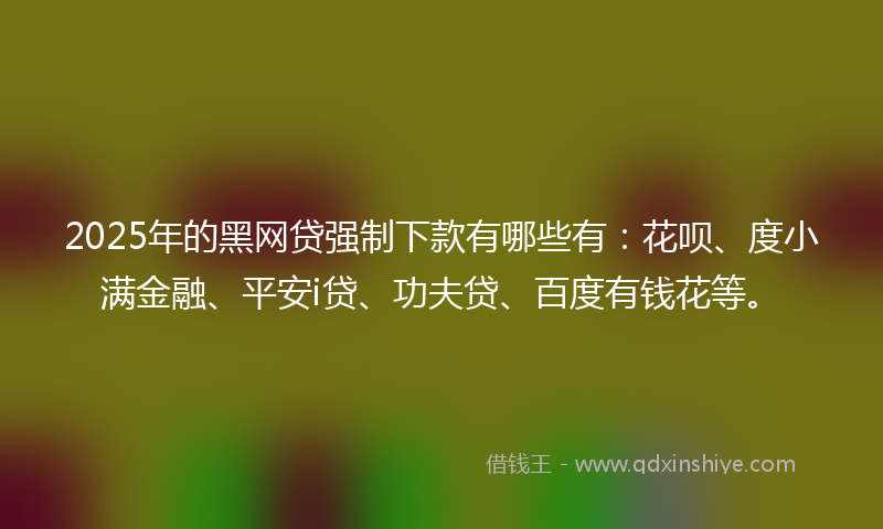 2025年的黑网贷强制下款有哪些有：花呗、度小满金融、平安i贷、功夫贷、百度有钱花等。