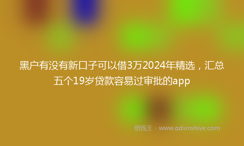 黑户有没有新口子可以借3万2024年精选，汇总五个19岁贷款容易过审批的app