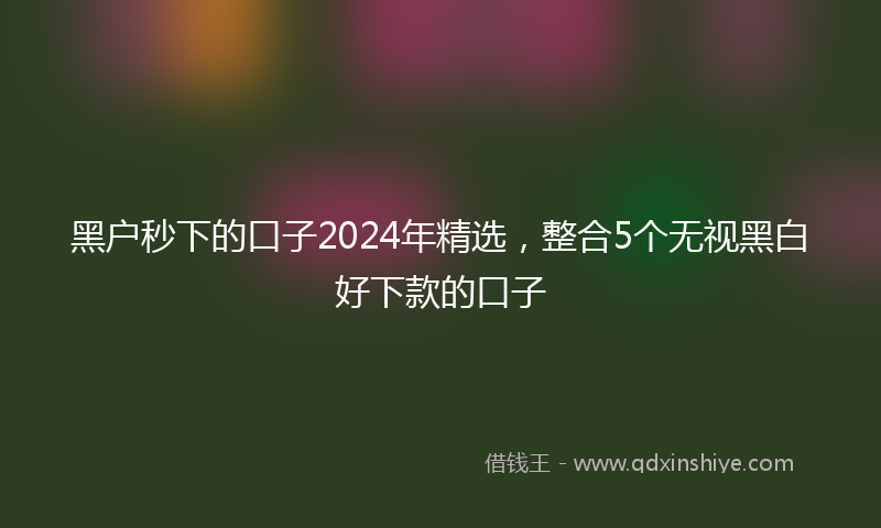 黑户秒下的口子2024年精选，整合5个无视黑白好下款的口子