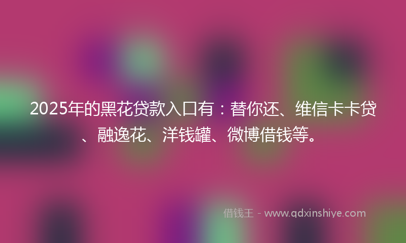 2025年的黑花贷款入口有：替你还、维信卡卡贷、融逸花、洋钱罐、微博借钱等。