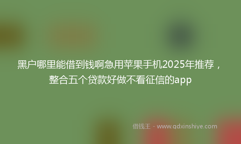 黑户哪里能借到钱啊急用苹果手机2025年推荐，整合五个贷款好做不看征信的app