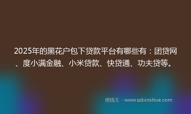 2025年的黑花户包下贷款平台有哪些有：团贷网、度小满金融、小米贷款、快贷通、功夫贷等。