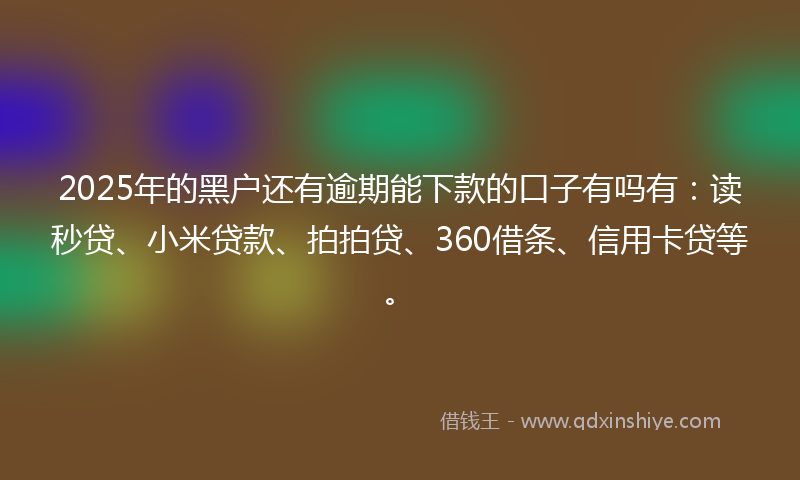 2025年的黑户还有逾期能下款的口子有吗有：读秒贷、小米贷款、拍拍贷、360借条、信用卡贷等。