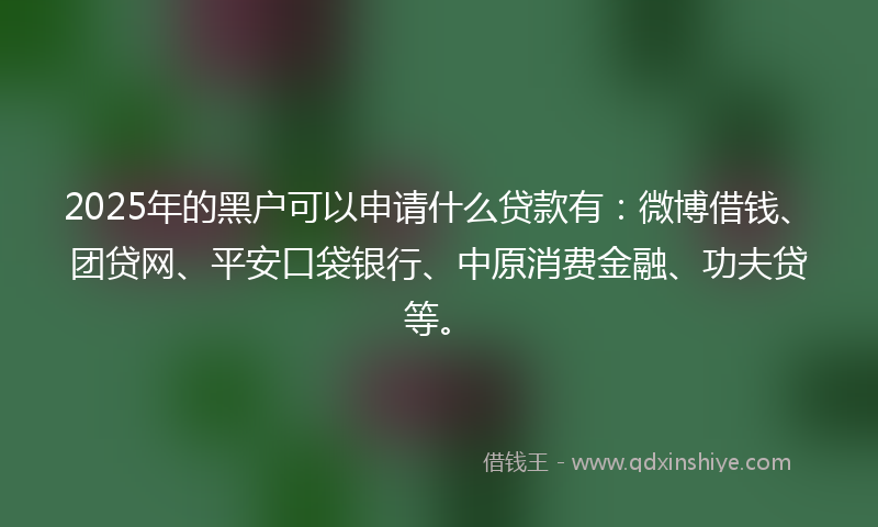 2025年的黑户可以申请什么贷款有：微博借钱、团贷网、平安口袋银行、中原消费金融、功夫贷等。