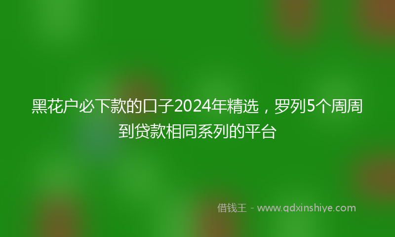 黑花户必下款的口子2024年精选，罗列5个周周到贷款相同系列的平台