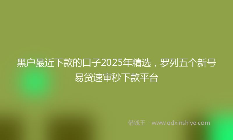 黑户最近下款的口子2025年精选，罗列五个新号易贷速审秒下款平台