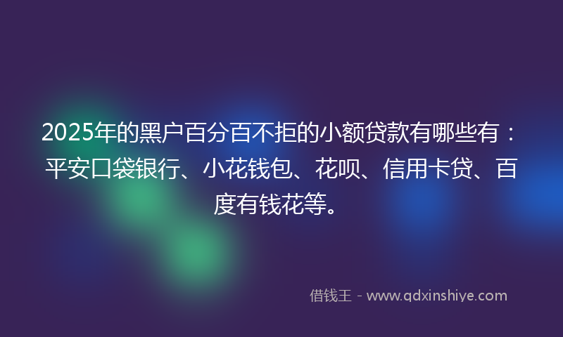 2025年的黑户百分百不拒的小额贷款有哪些有：平安口袋银行、小花钱包、花呗、信用卡贷、百度有钱花等。