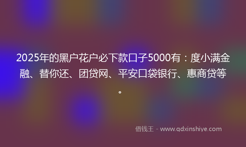 2025年的黑户花户必下款口子5000有：度小满金融、替你还、团贷网、平安口袋银行、惠商贷等。