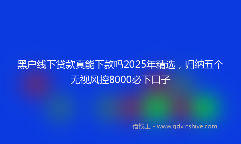 黑户线下贷款真能下款吗2025年精选，归纳五个无视风控8000必下口子