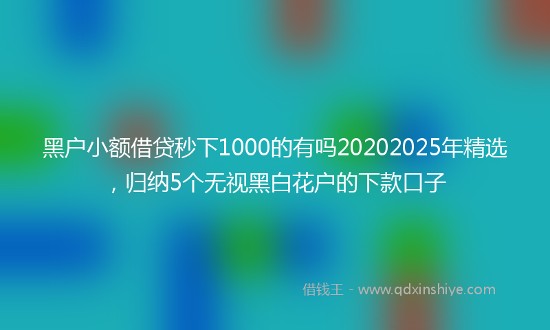 黑户小额借贷秒下1000的有吗20202025年精选，归纳5个无视黑白花户的下款口子