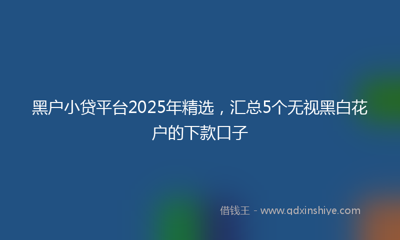 黑户小贷平台2025年精选，汇总5个无视黑白花户的下款口子