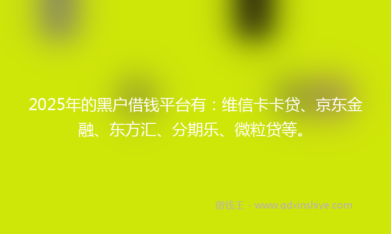 2025年的黑户借钱平台有：维信卡卡贷、京东金融、东方汇、分期乐、微粒贷等。