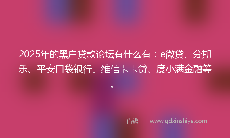 2025年的黑户贷款论坛有什么有：e微贷、分期乐、平安口袋银行、维信卡卡贷、度小满金融等。