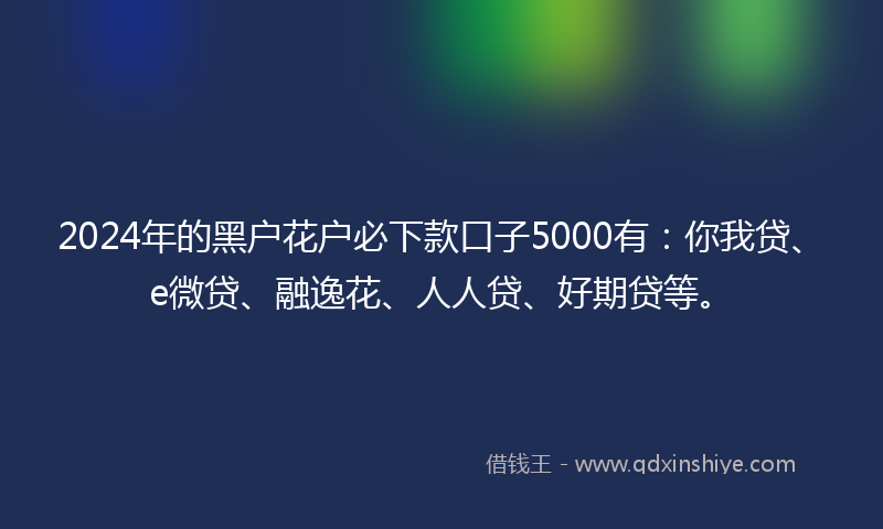 2024年的黑户花户必下款口子5000有：你我贷、e微贷、融逸花、人人贷、好期贷等。