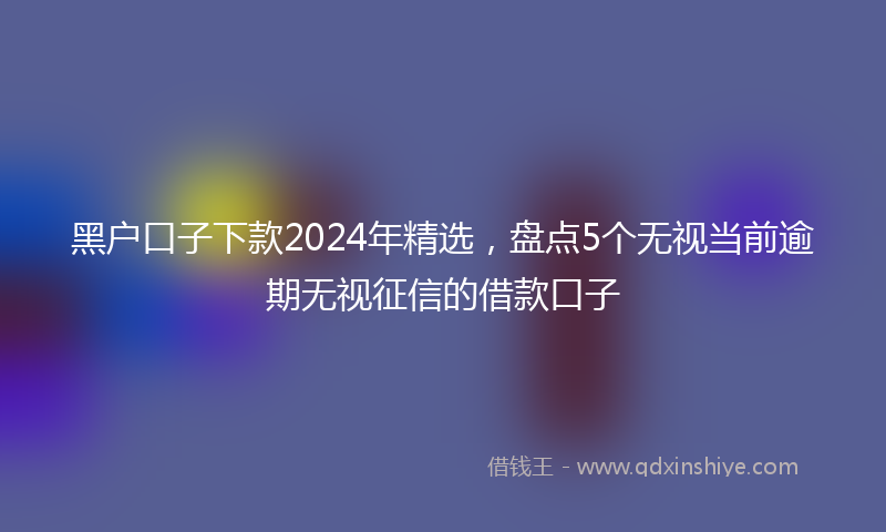 黑户口子下款2024年精选，盘点5个无视当前逾期无视征信的借款口子