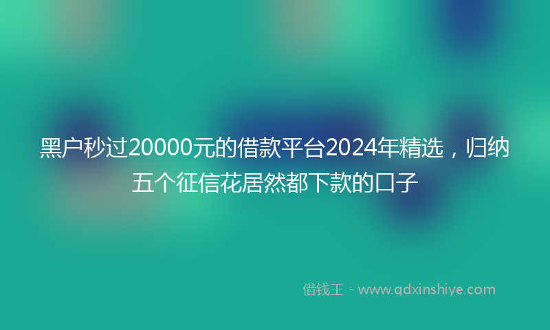 黑户秒过20000元的借款平台2024年精选，归纳五个征信花居然都下款的口子