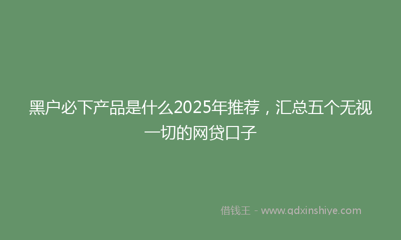 黑户必下产品是什么2025年推荐，汇总五个无视一切的网贷口子