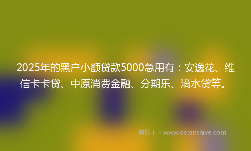2025年的黑户小额贷款5000急用有：安逸花、维信卡卡贷、中原消费金融、分期乐、滴水贷等。