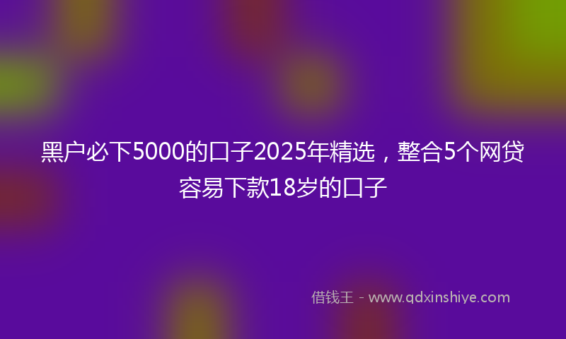 黑户必下5000的口子2025年精选，整合5个网贷容易下款18岁的口子