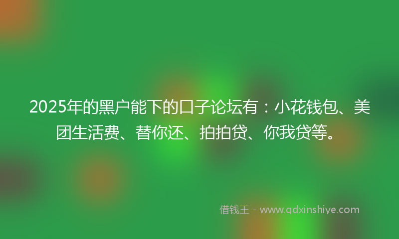 2025年的黑户能下的口子论坛有：小花钱包、美团生活费、替你还、拍拍贷、你我贷等。