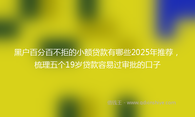 黑户百分百不拒的小额贷款有哪些2025年推荐，梳理五个19岁贷款容易过审批的口子