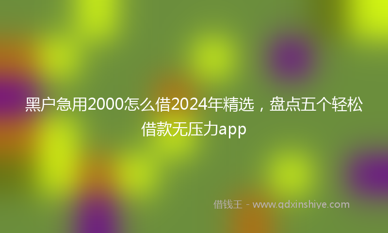 黑户急用2000怎么借2024年精选，盘点五个轻松借款无压力app