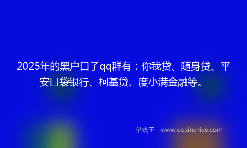 2025年的黑户口子qq群有：你我贷、随身贷、平安口袋银行、柯基贷、度小满金融等。