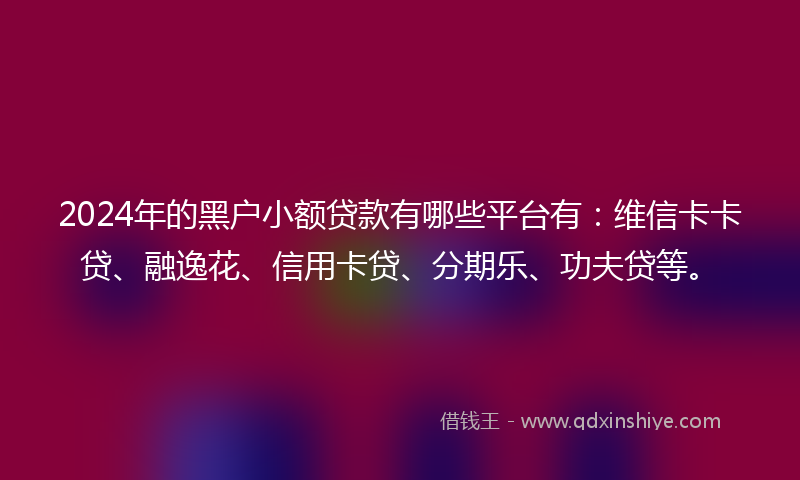 2024年的黑户小额贷款有哪些平台有：维信卡卡贷、融逸花、信用卡贷、分期乐、功夫贷等。