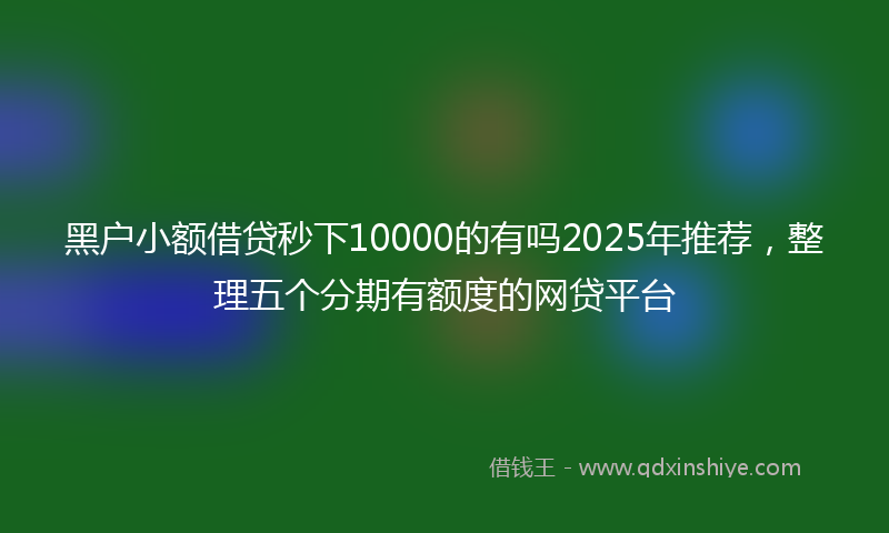 黑户小额借贷秒下10000的有吗2025年推荐，整理五个分期有额度的网贷平台