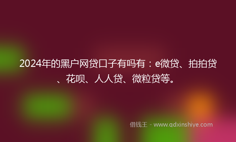 2024年的黑户网贷口子有吗有：e微贷、拍拍贷、花呗、人人贷、微粒贷等。