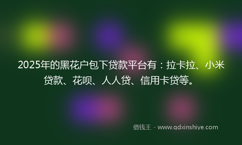 2025年的黑花户包下贷款平台有：拉卡拉、小米贷款、花呗、人人贷、信用卡贷等。