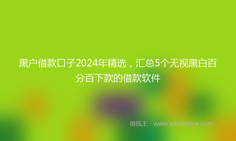 黑户借款口子2024年精选，汇总5个无视黑白百分百下款的借款软件