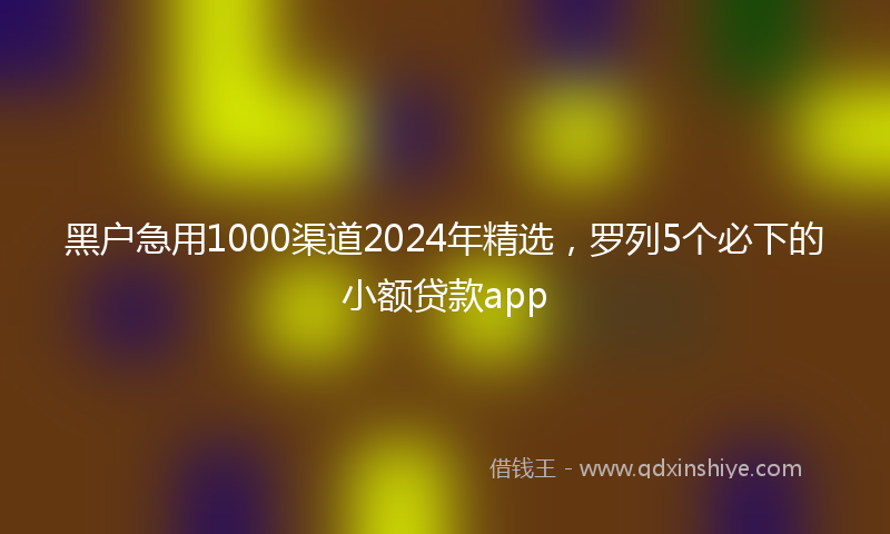 黑户急用1000渠道2024年精选，罗列5个必下的小额贷款app