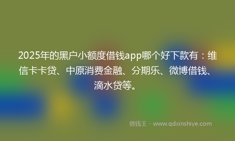 2025年的黑户小额度借钱app哪个好下款有：维信卡卡贷、中原消费金融、分期乐、微博借钱、滴水贷等。