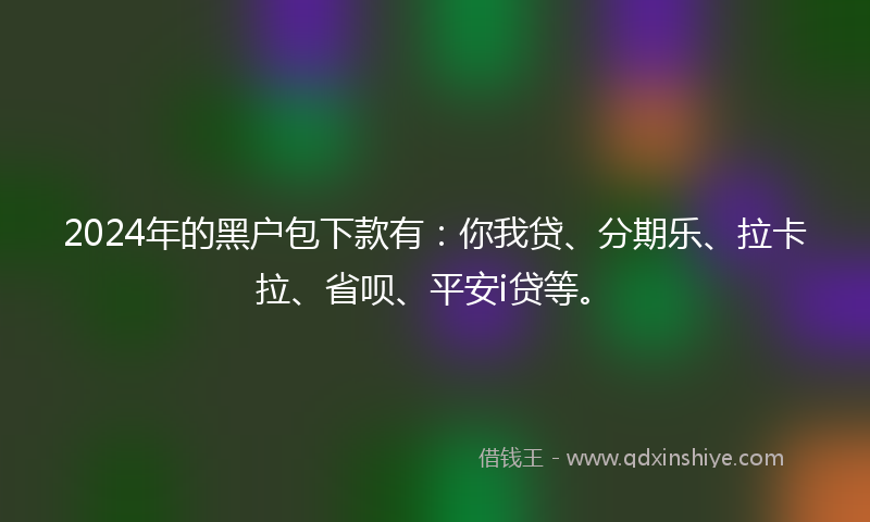 2024年的黑户包下款有：你我贷、分期乐、拉卡拉、省呗、平安i贷等。