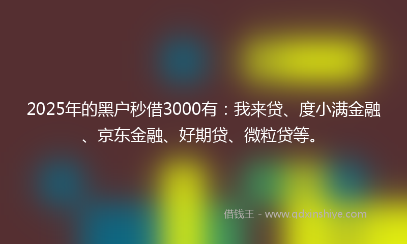 2025年的黑户秒借3000有：我来贷、度小满金融、京东金融、好期贷、微粒贷等。