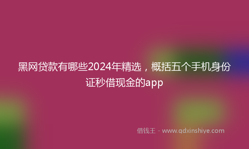 黑网贷款有哪些2024年精选，概括五个手机身份证秒借现金的app