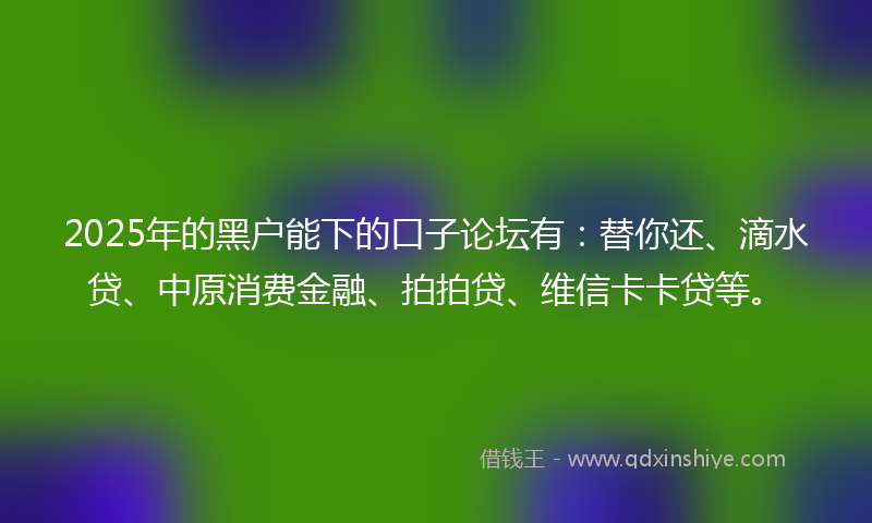 2025年的黑户能下的口子论坛有：替你还、滴水贷、中原消费金融、拍拍贷、维信卡卡贷等。