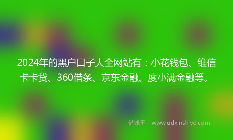 2024年的黑户口子大全网站有：小花钱包、维信卡卡贷、360借条、京东金融、度小满金融等。