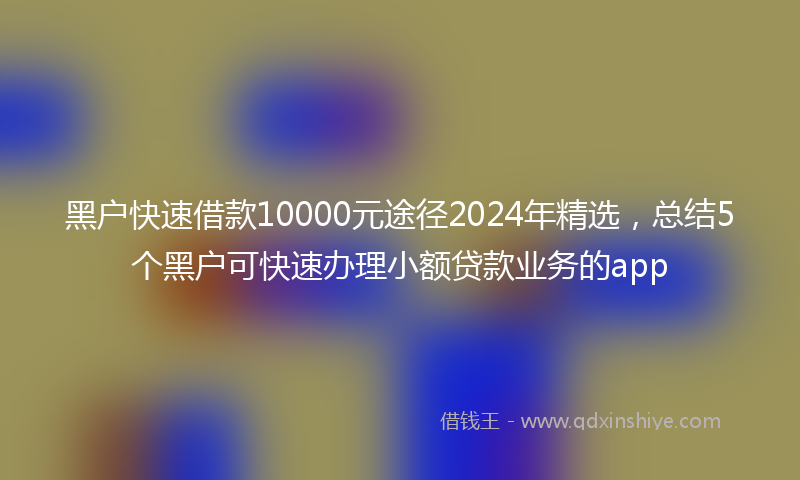 黑户快速借款10000元途径2024年精选，总结5个黑户可快速办理小额贷款业务的app
