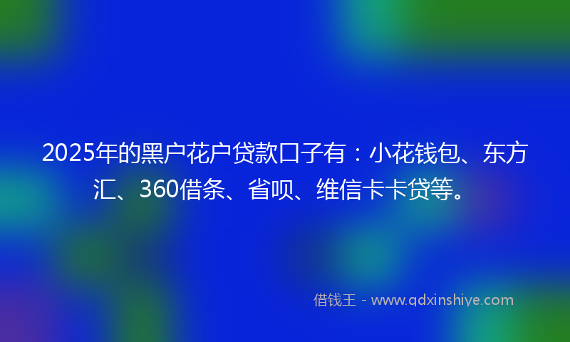 2025年的黑户花户贷款口子有：小花钱包、东方汇、360借条、省呗、维信卡卡贷等。