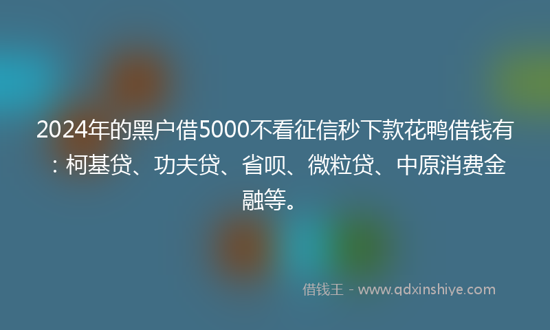 2024年的黑户借5000不看征信秒下款花鸭借钱有：柯基贷、功夫贷、省呗、微粒贷、中原消费金融等。