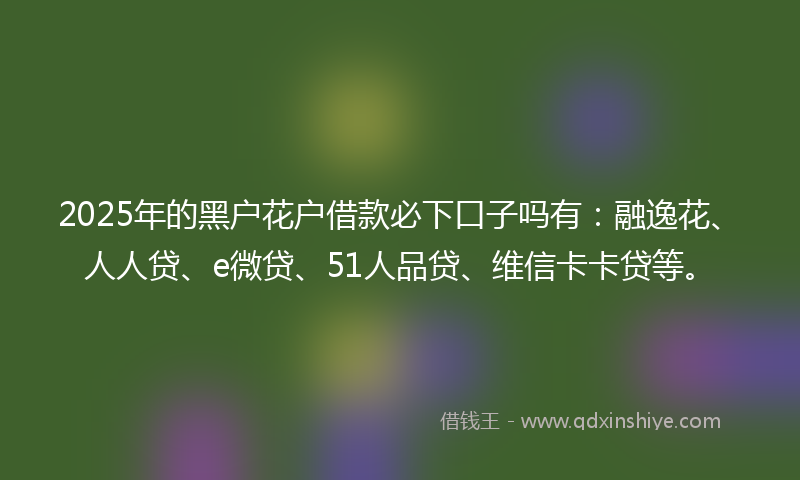 2025年的黑户花户借款必下口子吗有：融逸花、人人贷、e微贷、51人品贷、维信卡卡贷等。