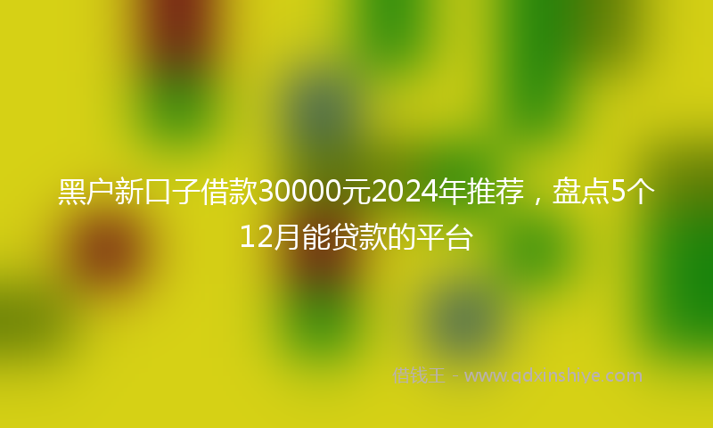 黑户新口子借款30000元2024年推荐，盘点5个12月能贷款的平台