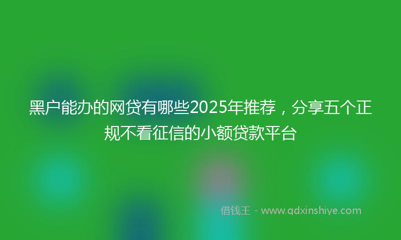 黑户能办的网贷有哪些2025年推荐，分享五个正规不看征信的小额贷款平台